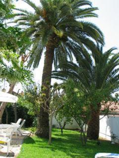 Hotel Pierre Loti Antibes Buitenkant foto